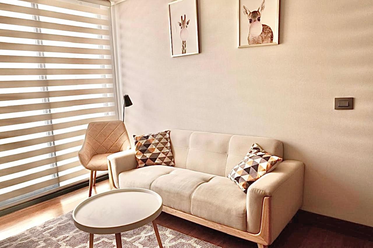Departamento 2 Condes Lavanderia Apartamento
